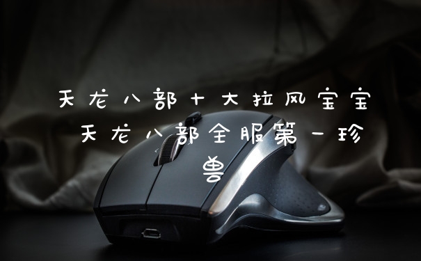 天龙八部十大拉风宝宝 天龙八部全服第一珍兽