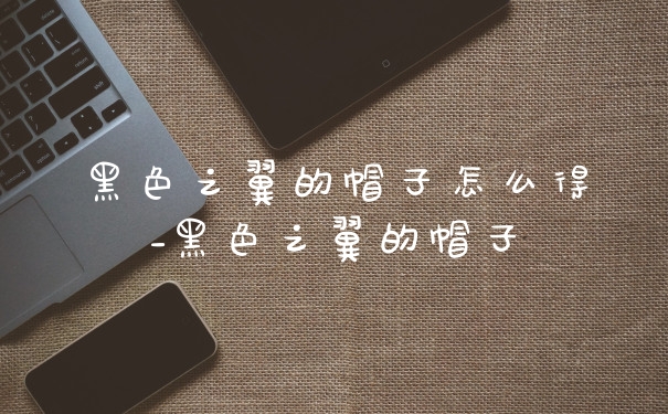 黑色之翼的帽子怎么得_黑色之翼的帽子