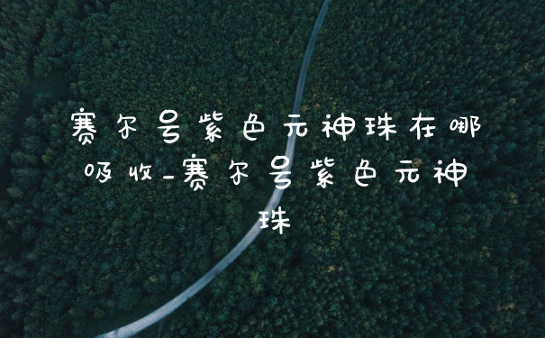 赛尔号紫色元神珠在哪吸收_赛尔号紫色元神珠