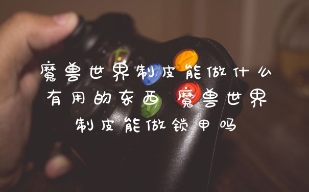 魔兽世界制皮能做什么有用的东西 魔兽世界制皮能做锁甲吗