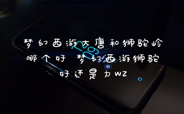梦幻西游大唐和狮驼岭哪个好 梦幻西游狮驼好还是力WZ
