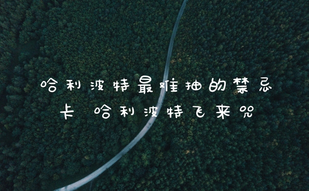哈利波特最难抽的禁忌卡 哈利波特飞来咒