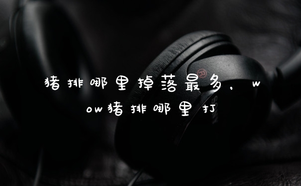 猪排哪里掉落最多，wow猪排哪里打