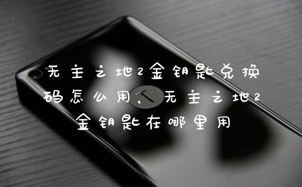 无主之地2金钥匙兑换码怎么用，无主之地2金钥匙在哪里用