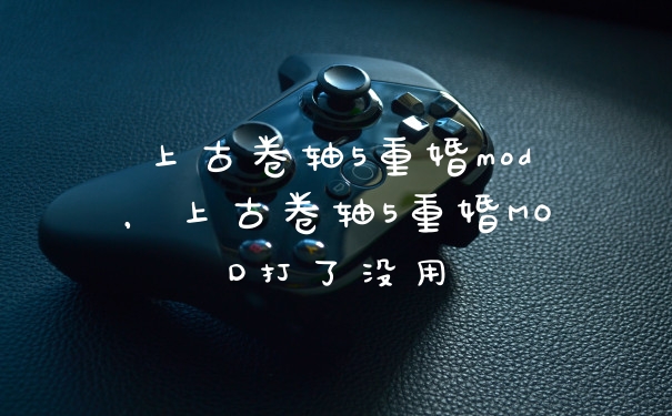 上古卷轴5重婚mod，上古卷轴5重婚MOD打了没用