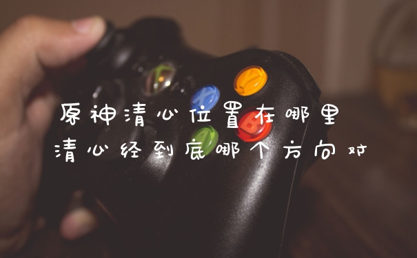原神清心位置在哪里 清心经到底哪个方向对
