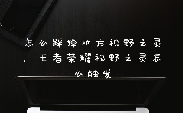 怎么踩掉对方视野之灵，王者荣耀视野之灵怎么触发