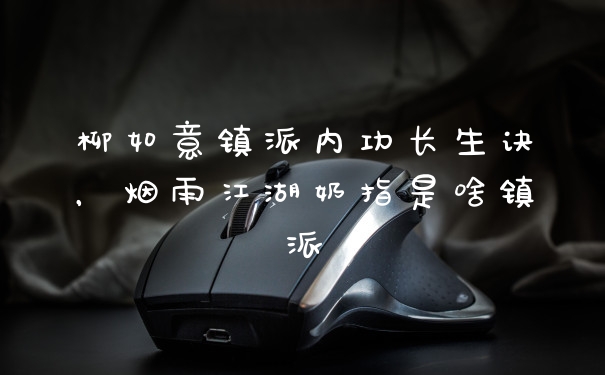 柳如意镇派内功长生诀，烟雨江湖奶指是啥镇派