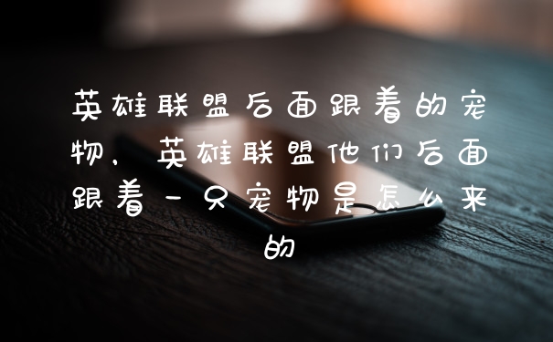 英雄联盟后面跟着的宠物，英雄联盟他们后面跟着一只宠物是怎么来的