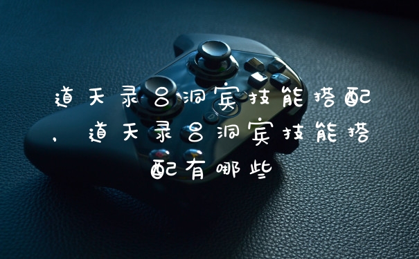 道天录吕洞宾技能搭配，道天录吕洞宾技能搭配有哪些