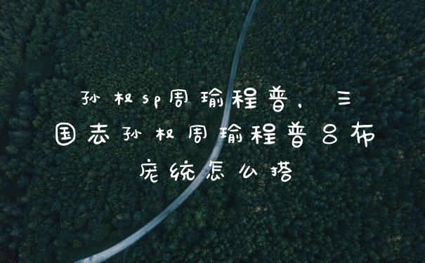 孙权sp周瑜程普，三国志孙权周瑜程普吕布庞统怎么搭