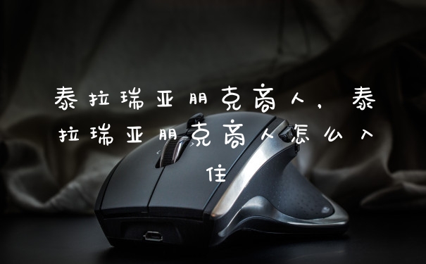 泰拉瑞亚朋克商人，泰拉瑞亚朋克商人怎么入住