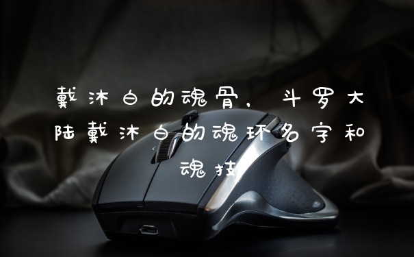 戴沐白的魂骨，斗罗大陆戴沐白的魂环名字和魂技