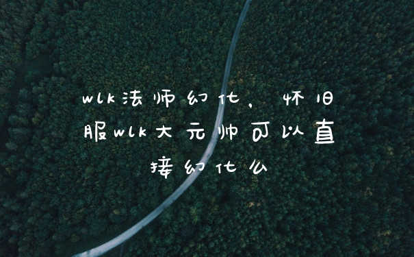 wlk法师幻化，怀旧服wlk大元帅可以直接幻化么