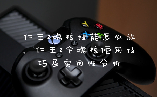 仁王2魂核技能怎么放，仁王2全魂核使用技巧及实用性分析