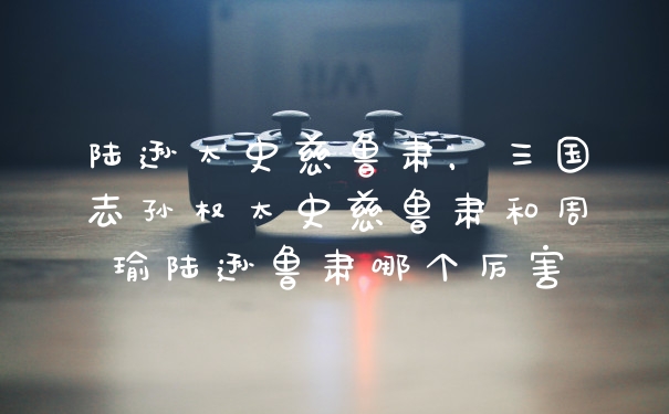 陆逊太史慈鲁肃，三国志孙权太史慈鲁肃和周瑜陆逊鲁肃哪个厉害