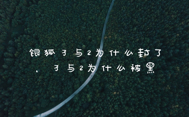 银狐孑与2为什么封了，孑与2为什么被黑