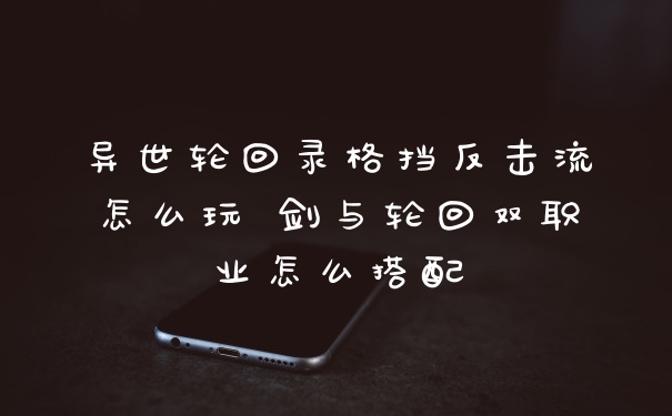 异世轮回录格挡反击流怎么玩 剑与轮回双职业怎么搭配