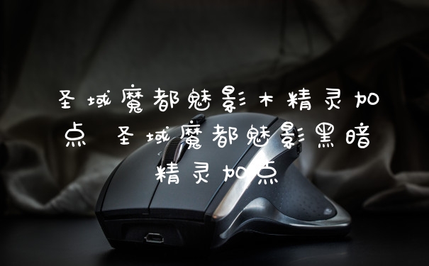 圣域魔都魅影木精灵加点 圣域魔都魅影黑暗精灵加点
