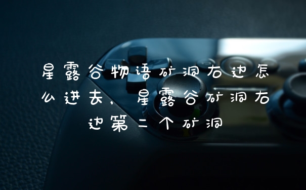 星露谷物语矿洞右边怎么进去，星露谷矿洞右边第二个矿洞