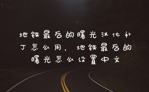 地铁最后的曙光汉化补丁怎么用,地铁最后的曙光怎么设置中文