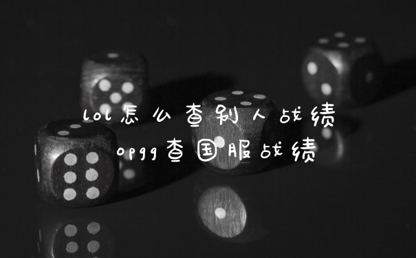 lol怎么查别人战绩 opgg查国服战绩