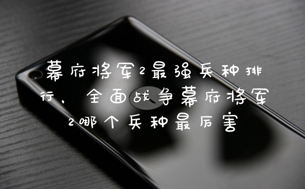 幕府将军2最强兵种排行，全面战争幕府将军2哪个兵种最厉害
