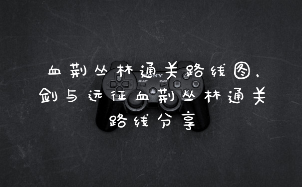 血荆丛林通关路线图，剑与远征血荆丛林通关路线分享