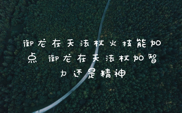御龙在天法杖火技能加点 御龙在天法杖加智力还是精神