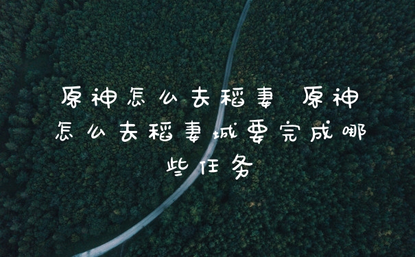 原神怎么去稻妻 原神怎么去稻妻城要完成哪些任务