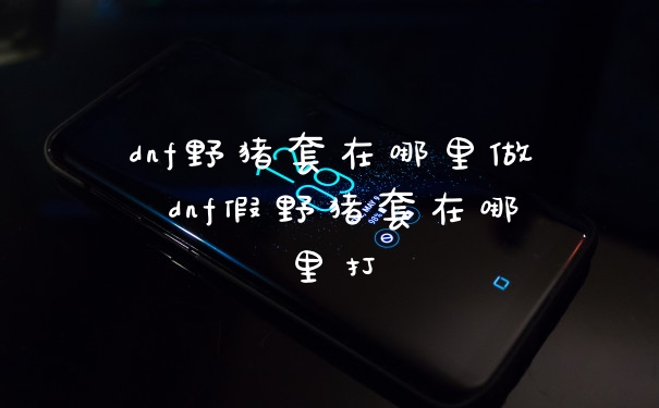 dnf野猪套在哪里做 dnf假野猪套在哪里打