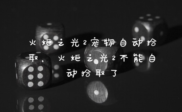 火炬之光2宠物自动拾取，火炬之光2不能自动拾取了