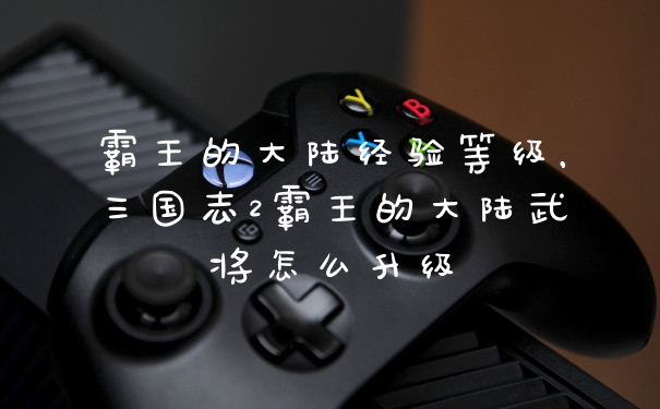 霸王的大陆经验等级，三国志2霸王的大陆武将怎么升级