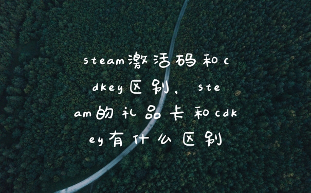 steam激活码和cdkey区别，steam的礼品卡和cdkey有什么区别