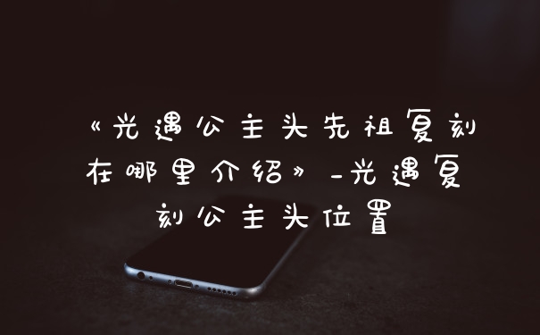 《光遇公主头先祖复刻在哪里介绍》_光遇复刻公主头位置