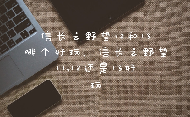 信长之野望12和13哪个好玩，信长之野望11,12还是13好玩