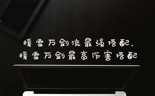 暖雪万剑流最强搭配，暖雪万剑最高伤害搭配