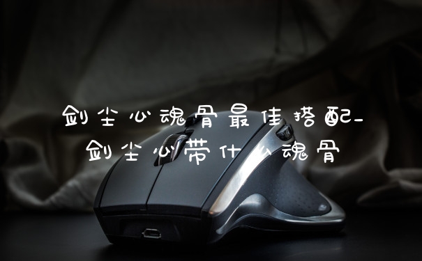 剑尘心魂骨最佳搭配_剑尘心带什么魂骨