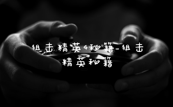 狙击精英4秘籍_狙击精英秘籍
