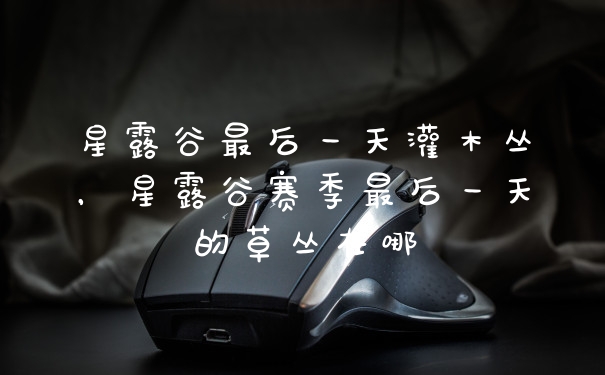 星露谷最后一天灌木丛，星露谷赛季最后一天的草丛在哪