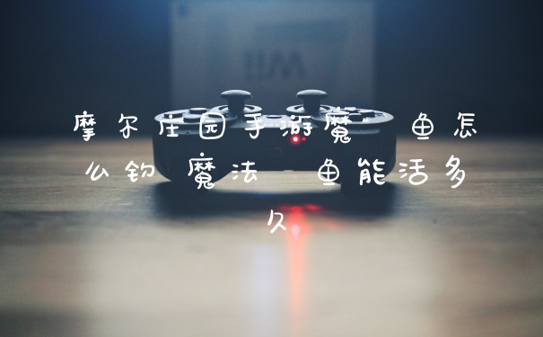 摩尔庄园手游魔鳉鱼怎么钓 魔法鳉鱼能活多久