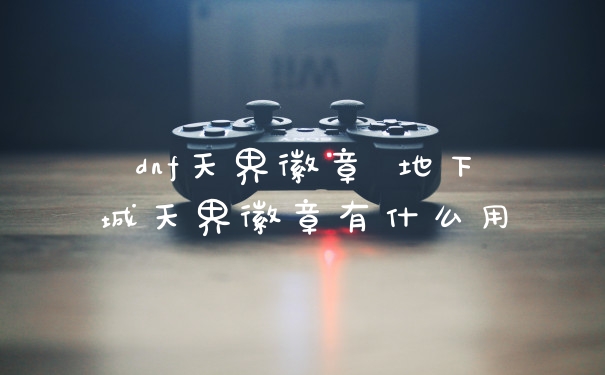 dnf天界徽章 地下城天界徽章有什么用