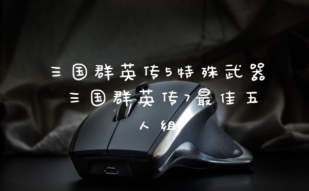 三国群英传5特殊武器 三国群英传7最佳五人组