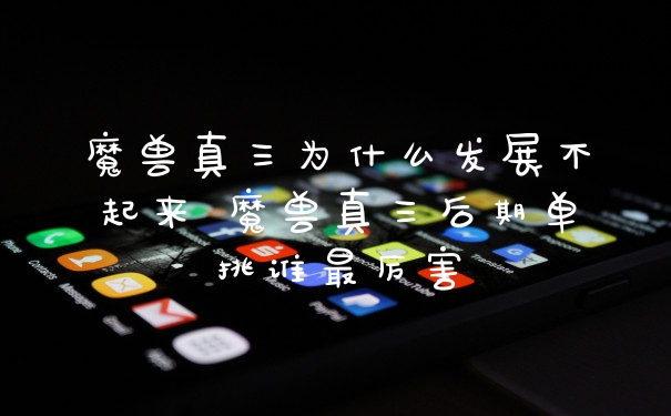 魔兽真三为什么发展不起来 魔兽真三后期单挑谁最厉害