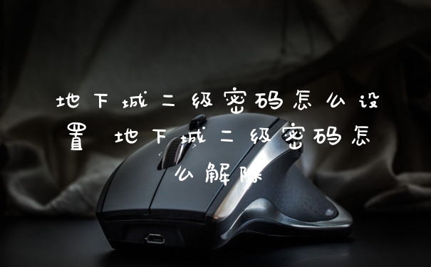 地下城二级密码怎么设置 地下城二级密码怎么解除