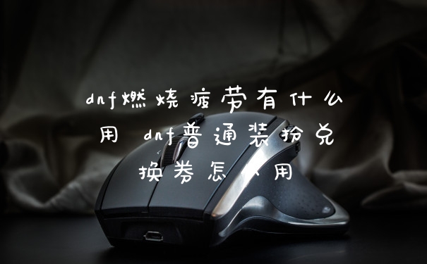 dnf燃烧疲劳有什么用 dnf普通装扮兑换券怎么用