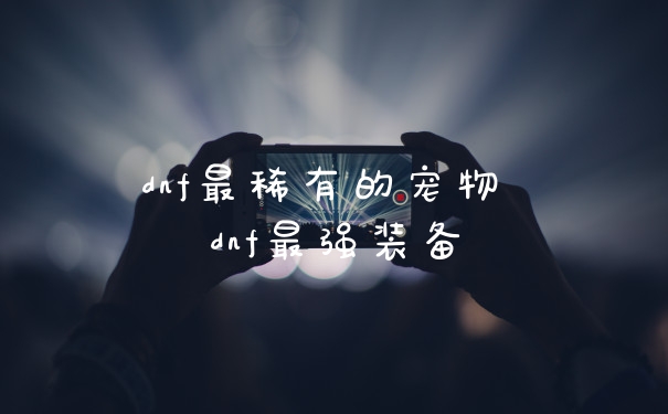 dnf最稀有的宠物 dnf最强装备
