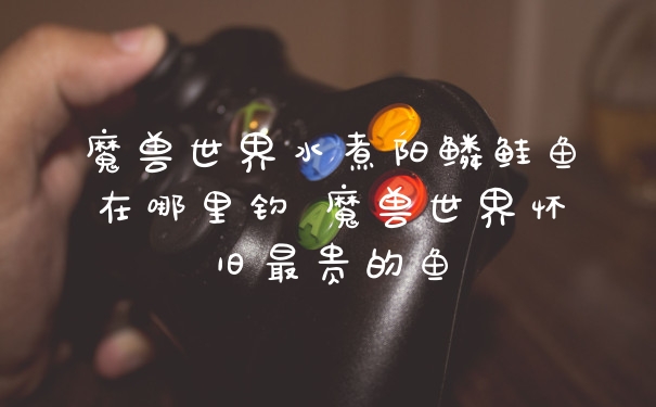 魔兽世界水煮阳鳞鲑鱼在哪里钓 魔兽世界怀旧最贵的鱼