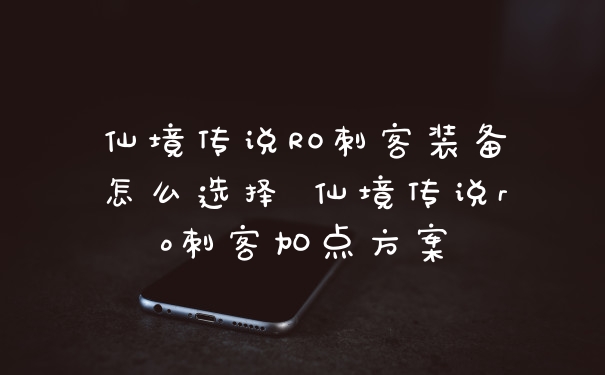 仙境传说RO刺客装备怎么选择 仙境传说ro刺客加点方案