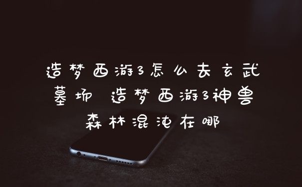 造梦西游3怎么去玄武墓场 造梦西游3神兽森林混沌在哪